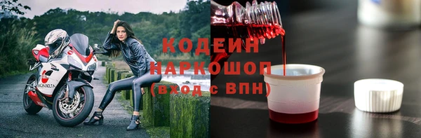 гидра Арсеньев