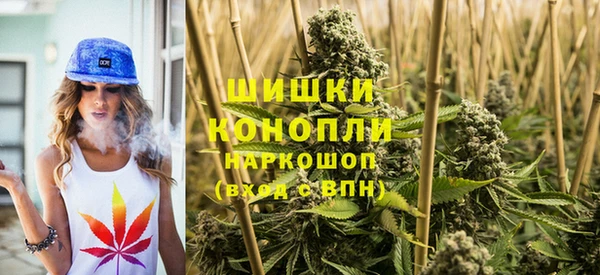 гидра Арсеньев
