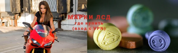 гидра Арсеньев