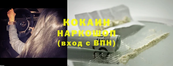 гидра Арсеньев