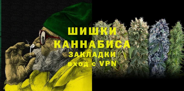 гидра Арсеньев