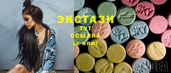 гидра Арсеньев